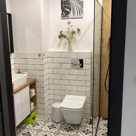 Apartment Tomek