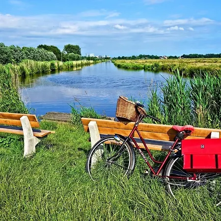 Tomek * Ilawa