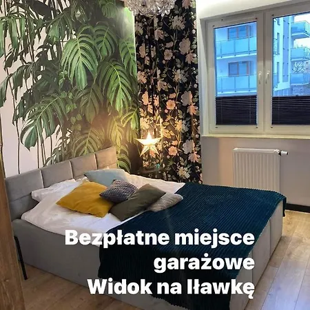 Apartment Tomek